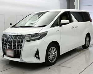 TOYOTA ALPHARD G F Package 4WD