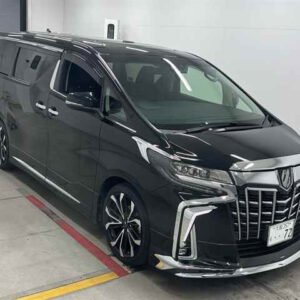TOYOTA ALPHARD S C PACKAGE
